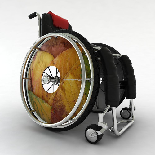 Wheelchair wheel spoke cover autumn tree leaves