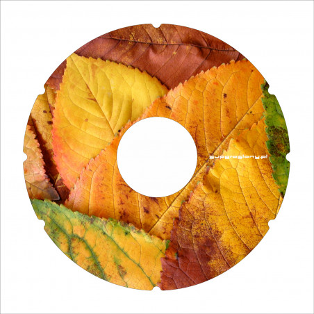 Wheelchair wheel spoke cover autumn tree leaves