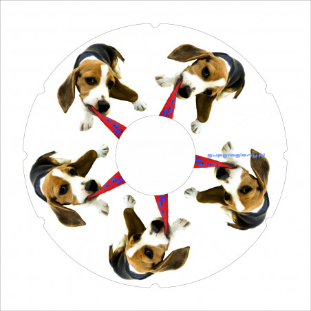 Wheelchair wheel spoke cover - cheerful spotted dog