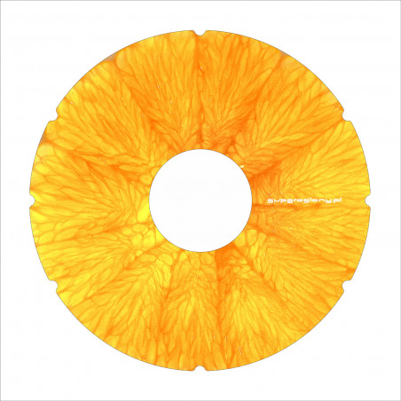 Juicy orange wheelchair wheel covers