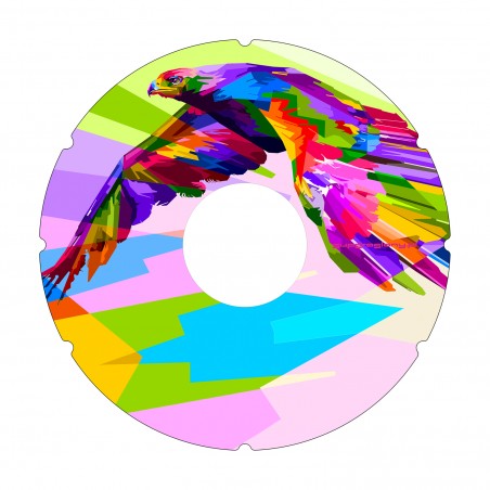 Rainbow Eagle Wheelchair Spoke Cover